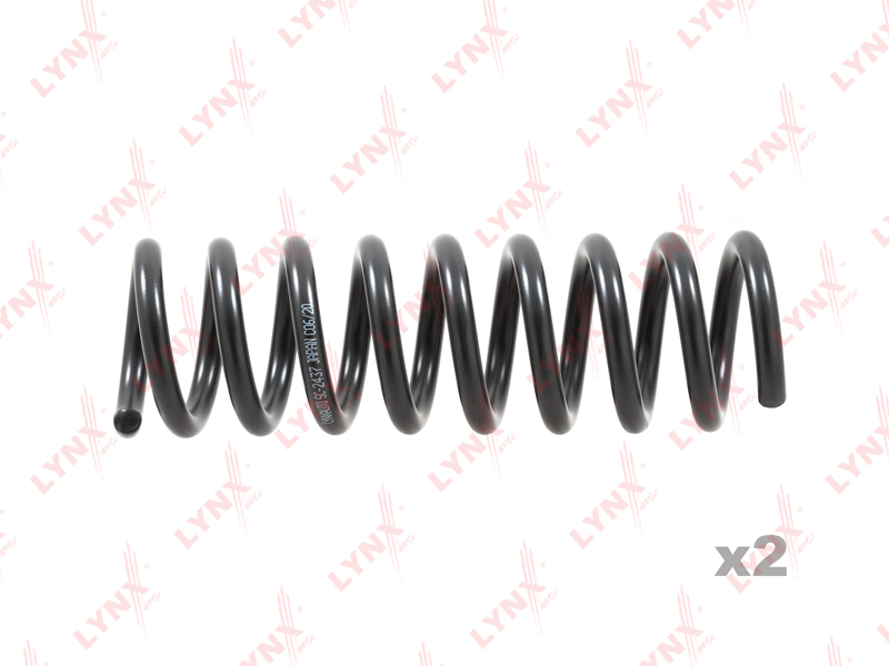Coil spring, rear