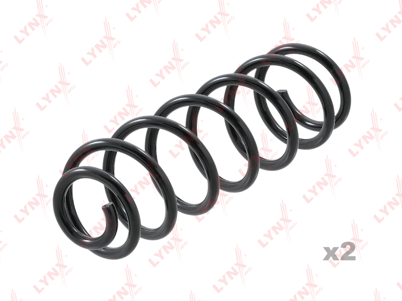 Coil spring, rear