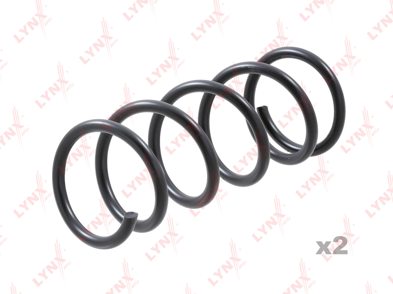 Coil spring, rear